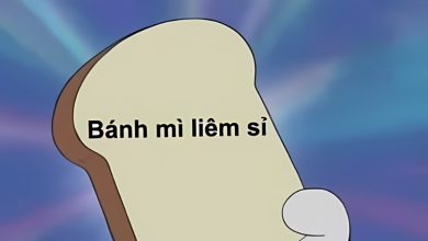 101+ Ảnh bựa cực đỉnh: Cười ngất ngây với hài hước Việt Nam