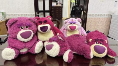 +111 Ảnh gấu dâu siêu cute: Tan chảy vì độ dễ thương