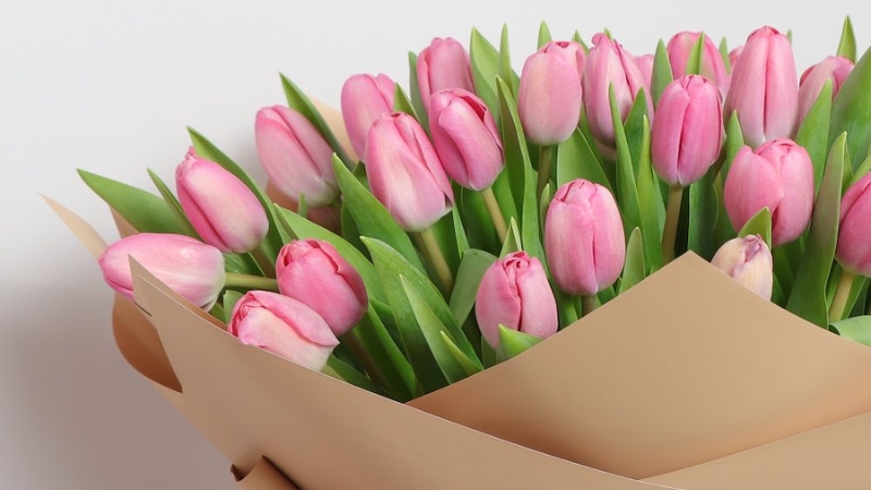 119+ Ảnh hoa tulip: Kiệt tác thiên nhiên đầy màu sắc