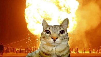 Ảnh meme Việt Nam, meme hài hước, meme chế, ảnh chế Việt Nam