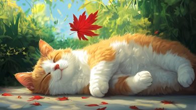 129+ Hình nền mèo cute - Tan chảy trước vẻ đáng yêu
